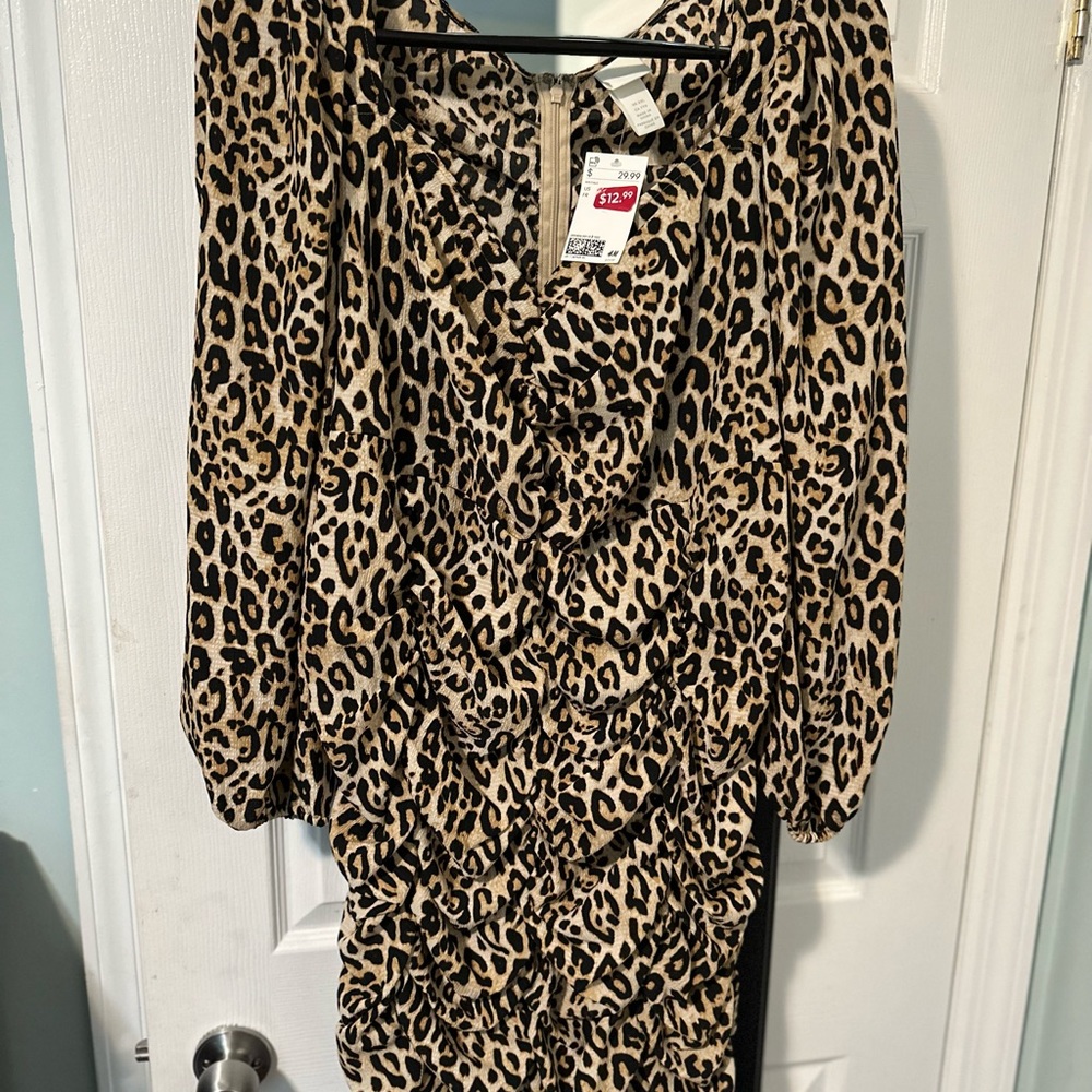 Sexy Leopard Print H&M dress.